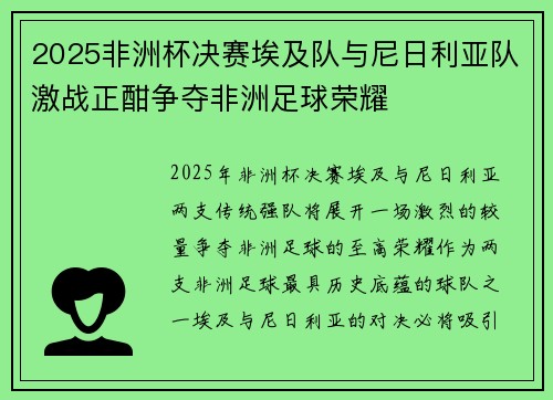 2025非洲杯决赛埃及队与尼日利亚队激战正酣争夺非洲足球荣耀